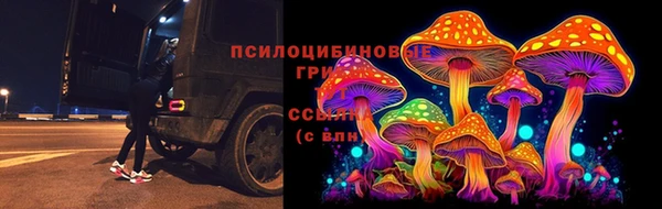 сатива Алексеевка