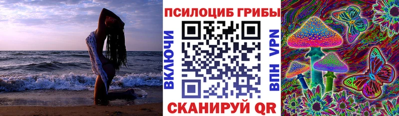 купить закладку  Урюпинск  Псилоцибиновые грибы Cubensis 