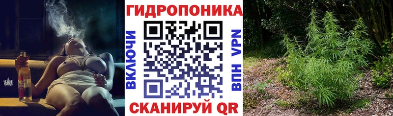 купить наркоту Урюпинск Каннабис тримм